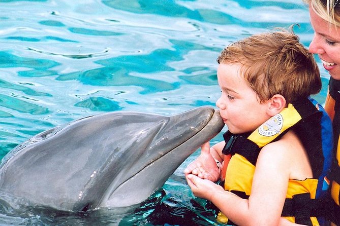 Dolphin Funtastic Excursion